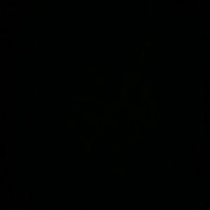 Meet your Posher, Gee